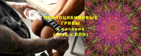 соль ск Няндома