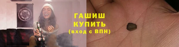 гидра Алексеевка