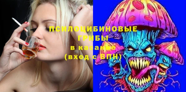 гидра Алексеевка